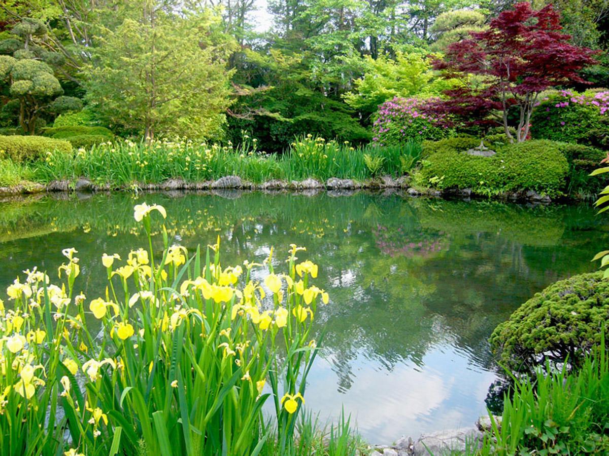 Hotel Garden Palace Kumagaya Eksteriør billede
