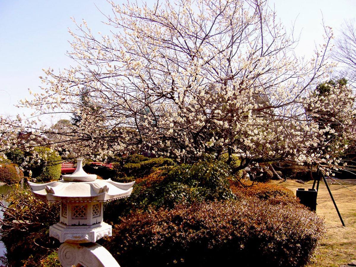 Hotel Garden Palace Kumagaya Eksteriør billede
